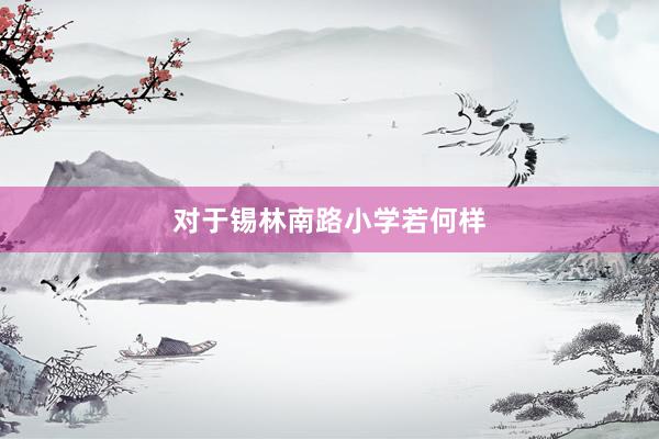 对于锡林南路小学若何样