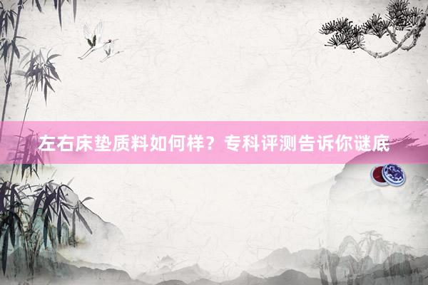 左右床垫质料如何样？专科评测告诉你谜底
